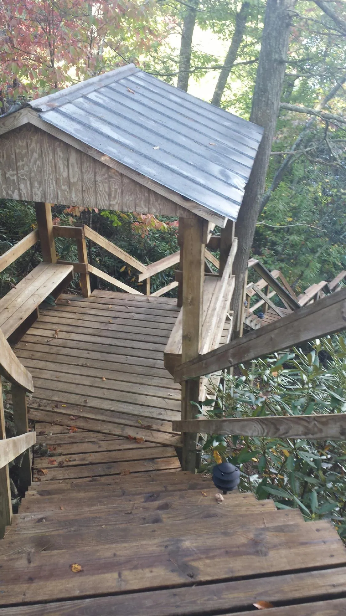 Metal roofed shelter over wooden steps on a wooded walkway — Skylight Repair & Installation work by our crew in Reinholds